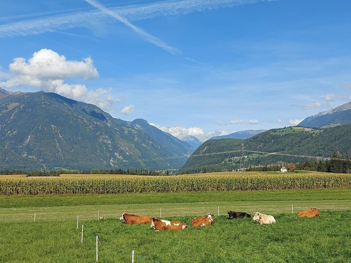 Krebslechnerhof Villa Bruneck Buitenkant foto